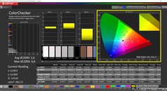 CalMAN ColorChecker (profilo: Display P3, spazio colore target P3)