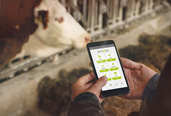 I sensori IoT, sviluppati da smaXtec monitorano il benessere interno degli animali da allevamento. (Immagine: smaXtec)