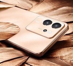 Vivo V30 Lite è stato lanciato come smartphone di fascia media con caratteristiche impressionanti. (Fonte: Vivo)