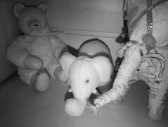 Animali di peluche con visione notturna