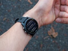 Garmin ha rilasciato l'aggiornamento 20.26 per il Forerunner 255. (Fonte: Garmin)
