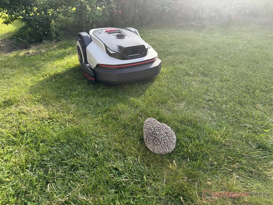 Il rilevamento dell’igel tramite le due telecamere ha funzionato in modo eccellente.