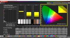 CalMAN ColorChecker (profilo: P3, spazio colore di destinazione: P3)