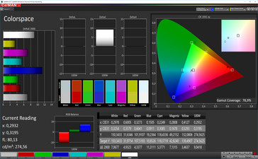 Spazio colore CalMAN (spazio colore target sRGB)
