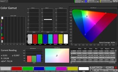 Spazio colore CalMAN sRGB