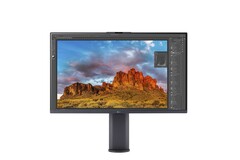 LG UltraFine 32UQ890 è un monitor professionale 4K con alcuni assi nella manica. (Fonte: LG)