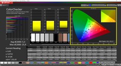 CalMAN ColorChecker calibrato