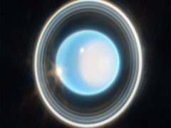 Un&#039;immagine ingrandita di Urano, catturata dal Telescopio Spaziale James Webb della NASA (Fonte immagine: NASA, ESA, CSA, e STScI; ritagliata)