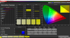 CalMAN Saturation Sweeps calibrato (spazio colore target AdobeRGB)