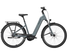 Forte EVO 5F Lite: La e-bike può essere caricata con molti bagagli. (Fonte: Pegasus)