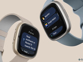 È ora possibile utilizzare Google Wallet per effettuare pagamenti senza contatto sul proprio smartwatch Fitbit Sense 2 o Versa 4. (Fonte: Fitbit)