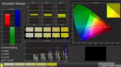 CalMAN: Saturazione Colore (calibrato)