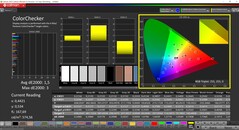 CalMAN ColorChecker calibrato (spazio colore target: P3)