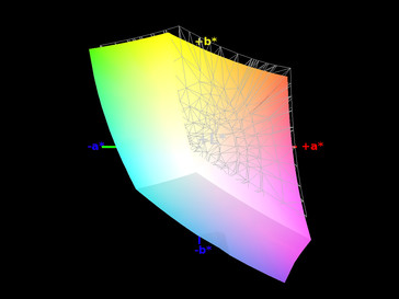 Il 93% di copertura del colore per l'sRGB