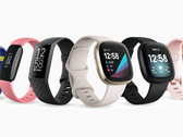 L'ultima serie di aggiornamenti di Fitbit riguarda problemi di sicurezza per molti dei suoi indossabili. (Fonte: Fitbit)
