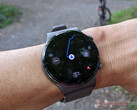 La serie Watch GT 2 continua a ricevere aggiornamenti software. (Fonte: NotebookCheck)