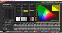 CalMAN ColorChecker calibrato