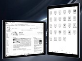 Il Dasung Not-eReader 133 può essere utilizzato sia come tablet che come piccolo monitor. (Immagine: Dasung)