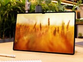 Il mercato dei tablet potrebbe decollare nel 2022. (Fonte: Ice Universe)