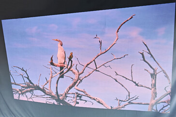 Schermo di proiezione all'aperto (luce diurna) (Fonte: Daniel Schmidt)