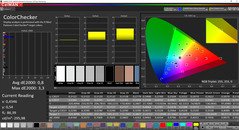 CalMAN ColorChecker calibrato (spazio colore target P3)