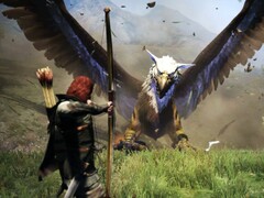 Fino al 13 gennaio, Dragon's Dogma: Dark Arisen è disponibile su Steam con uno sconto dell'84%. (Fonte: Dragonsdogma.com) 