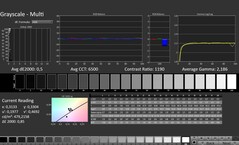 CalMAN: scala di grigi (calibrata)