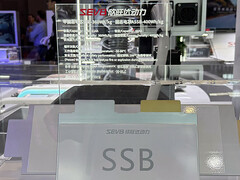 La batteria allo stato solido Sunwoda. (Fonte: CNEVPost)