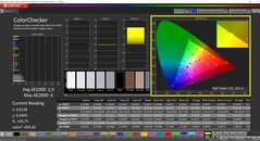 CalMAN ColorChecker