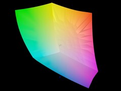 Spazio colore: sRGB - copertura del 99,94%