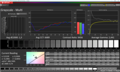 Scale di grigio Calman calibrate