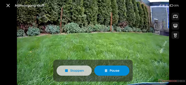 Il video in diretta offre una visione del giardino dal punto di vista del robot tosaerba