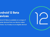 I possessori di OnePlus e Xiaomi dovrebbero essere consapevoli che il flashing di Android 12 Beta 1 potrebbe bloccare il vostro dispositivo. (Fonte immagine: Google)