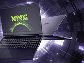 L'attuale line-up di XMG Pro. (Fonte: Schenker)