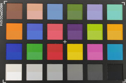 ColorChecker Passport: La parte inferiore di ogni area mostra il colore di riferimento