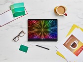HP Elite Dragonfly Chromebook offre un touchpad aptico. (Fonte immagine: HP)