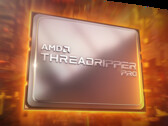 I processori AMD Ryzen Threadripper Pro 5000 WX sono ora riservati agli OEM. (Fonte: AMD)