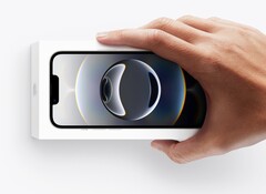 L'iPhone 16e di Apple potrebbe avere un successore già il prossimo anno. (Fonte immagine: Apple)