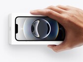 L'iPhone 16e di Apple potrebbe avere un successore già il prossimo anno. (Fonte immagine: Apple)