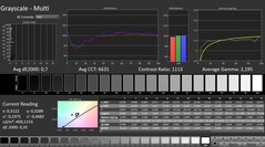 CalMAN: scale di grigi (calibrate)