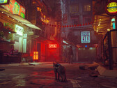 Stray è un gioco d'avventura narrativa d'atmosfera che racconta di un gattino che cerca di ritrovare la strada di casa. (Fonte: Steam)