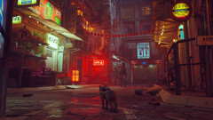 Stray è un gioco d'avventura narrativa d'atmosfera che racconta di un gattino che cerca di ritrovare la strada di casa. (Fonte: Steam)