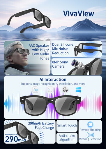 Panoramica delle funzioni di VivaView (Fonte: Rollme)