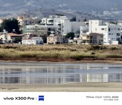 Vivo X300 Pro senza teleconvertitore 800 mm