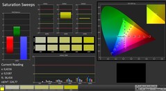 CalMAN: Saturation sweeps (calibrato)