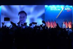 Le vendite di Tesla crollano in tutta Europa: Le attività politiche di Elon Musk sembrano danneggiare l'azienda