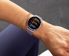 Il Vivoactive 5 ha ricevuto il suo terzo aggiornamento beta questo mese. (Fonte: Garmin)