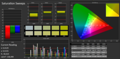 CalMAN Saturation Sweeps (pre-calibrazione)