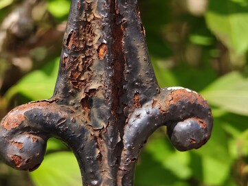 Foto macro