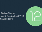Xiaomi ha aperto i test di Android 12 ad altri tre smartphone di punta. (Fonte: Xiaomi)